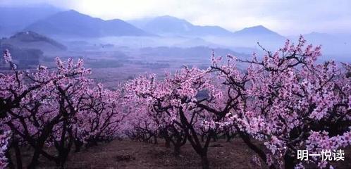 明一悦读 2021：可以哭，可以恨，但不能不坚强