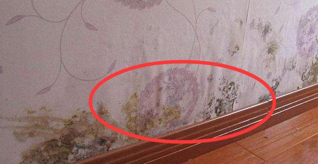 |刚搬新家就怒火冲天！遭16个弱智装修坑暴击，不实用还为生活添堵