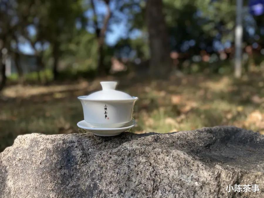 原创|听说盖碗泡茶都会烫手,烫习惯了就好?教你2种方法破解难题