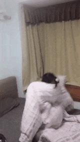 职业教育|“马总化腾的女儿，以后谁要是娶了她就不用愁了”哈哈哈哈