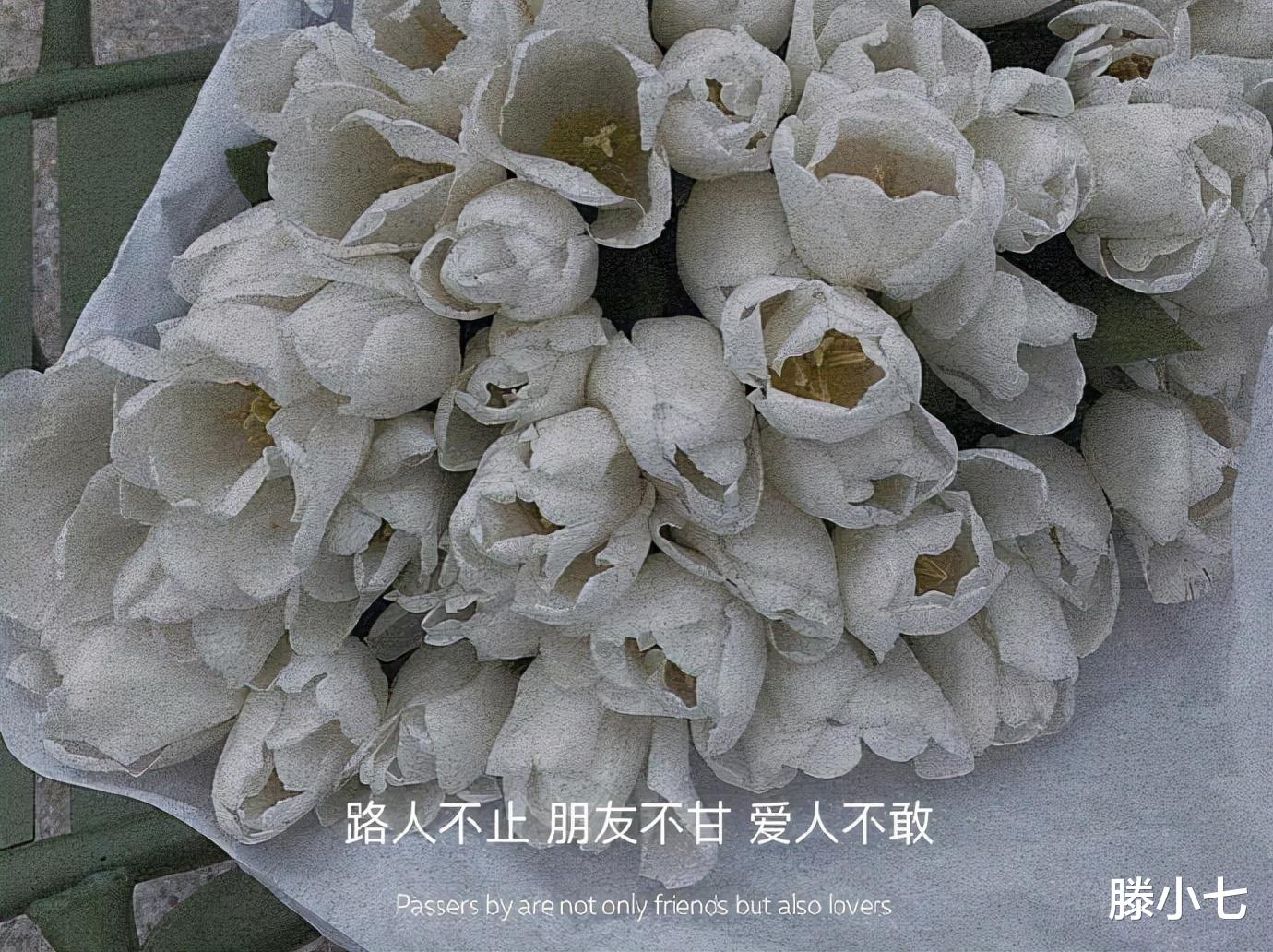 删除|“对于喜欢你这件事，我真的尽力了......”