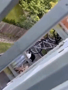 乔杉|“乔杉洗脚城被抓了，会像海波一样退出演艺圈吗？”哈哈哈...原来如此~