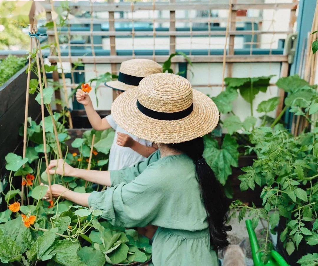 精致女人导师晓聪|最有情调的生活，可以这样过~