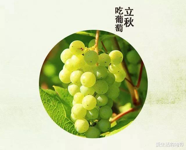 爱生活的陶哥|立秋后，食2果，吃3菜，做4事，缓解秋燥，开启秋季养生模式