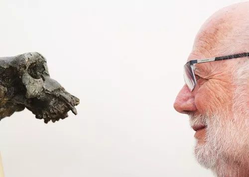 哺乳动物 自然界里，交尾时间最长的动物是谁？人类能和它们一样吗？