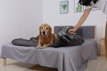 这七大居家神器,集齐了你就是这个地球最靓的崽