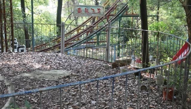 厦门 湖北一公园意外走红,荒废多年如今“翻身”,成网红打卡地