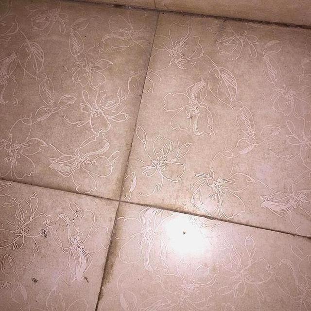 好物官|生活精致的女人，家中常备这4样“便宜货”，但是许多女生不重视