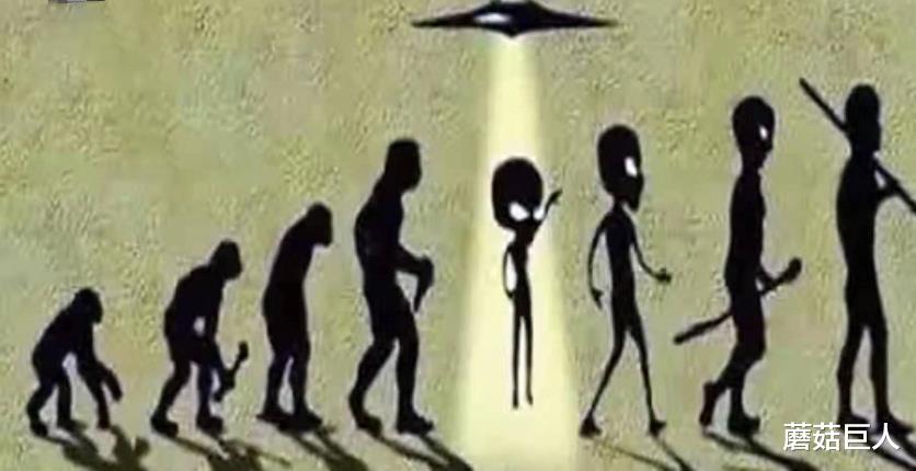 恐龙 神秘的人类来历，有多少异星人卷入其中？真相之后的“真相”