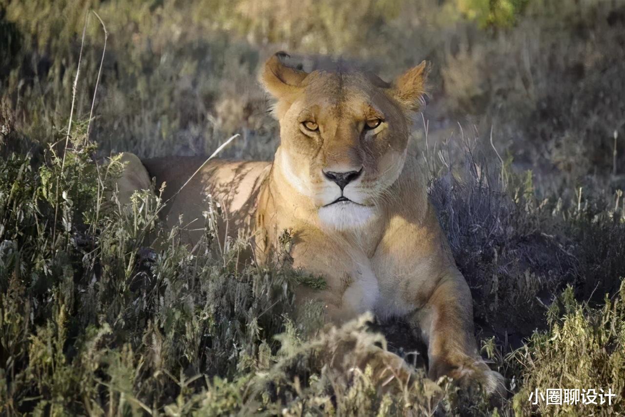 混凝土|17个大部分人都不知道的冷知识！人类大腿比混凝土还要坚固