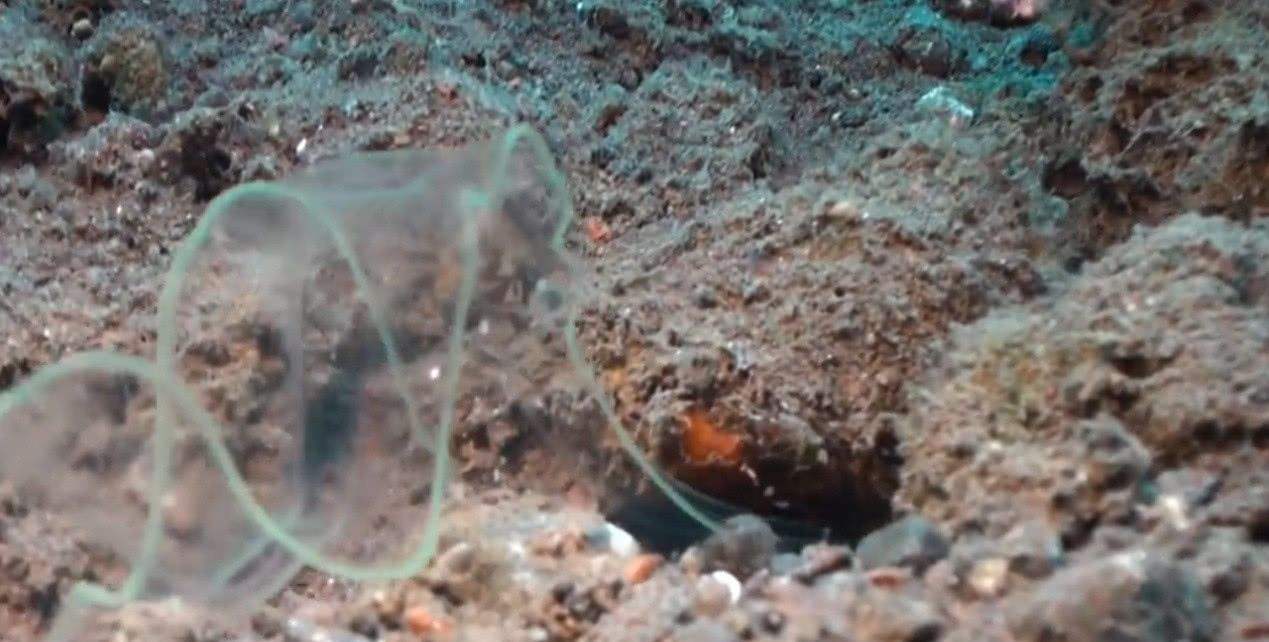 |钓鱼时遇到这种情况，满以为鱼情不错，最后却渔获惨淡