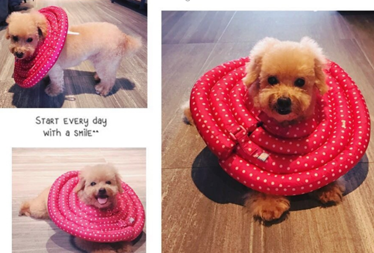 十万个家居为什么|任家萱晒出自己的家,厨房连地面都一尘不染,这样的家太舒适了