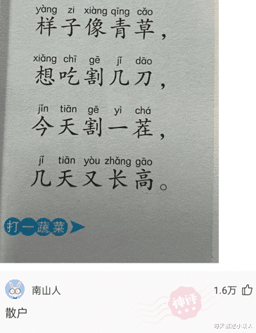 每天都是小潮人|亲媳妇,随时报告日常动态,果然还是老司机懂得