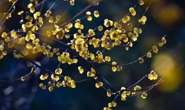 两口说育儿 我的外公外婆