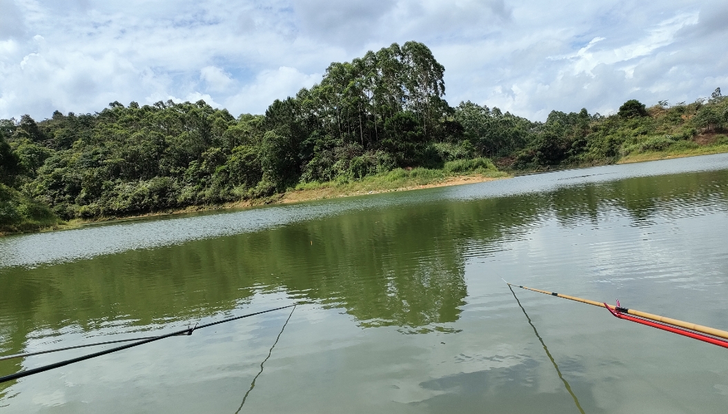 |钓鱼时窝里有鱼，但是鱼不吃钩，看这里帮你分析