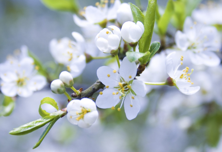 生肖夜读|7月中旬,一见倾心,再见难忘,3生肖信念感十足,忠于爱情,忠于初心