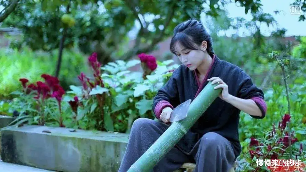 李子柒|李子柒破吉尼斯纪录：她，不是没有欲望……