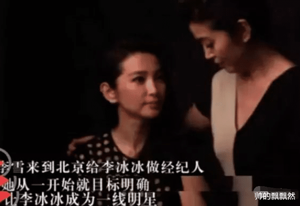 李冰冰|“莲花”李冰冰的华谊上位史，以及背后的黑红内幕