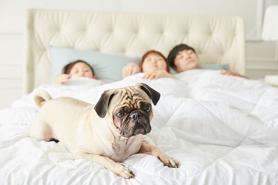 双11卧室好物推荐,这8件好物便宜又实用,提高你的睡眠质量