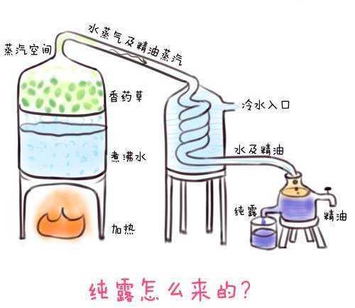 宋慧乔 李小冉素颜像25岁！晒出自用的护肤好物，因便宜被嫌弃，赵露思：良心国货