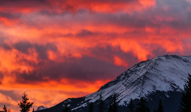 生态环境保卫者|为什么说很难得到双子座的爱？