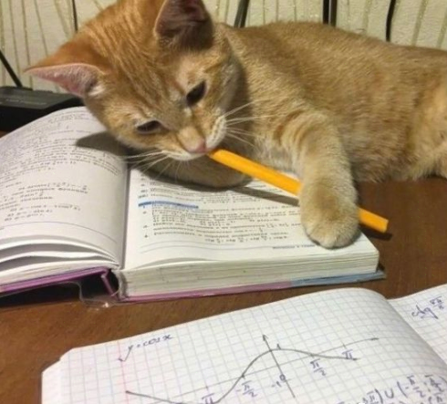 |這發(fā)球姿勢(shì)拿捏了