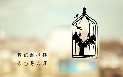 KimKom|那些年十二星座受过的伤