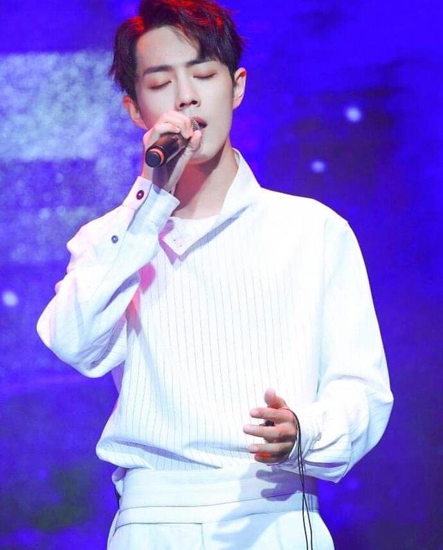 肖战|肖战整容花多少钱?肖战“大粉”道出真相,粉丝不乐意了