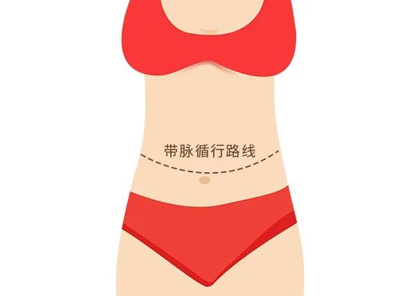 蔬菜|1个动作每天5分钟,一个月秒变小蛮腰,亲测有效!