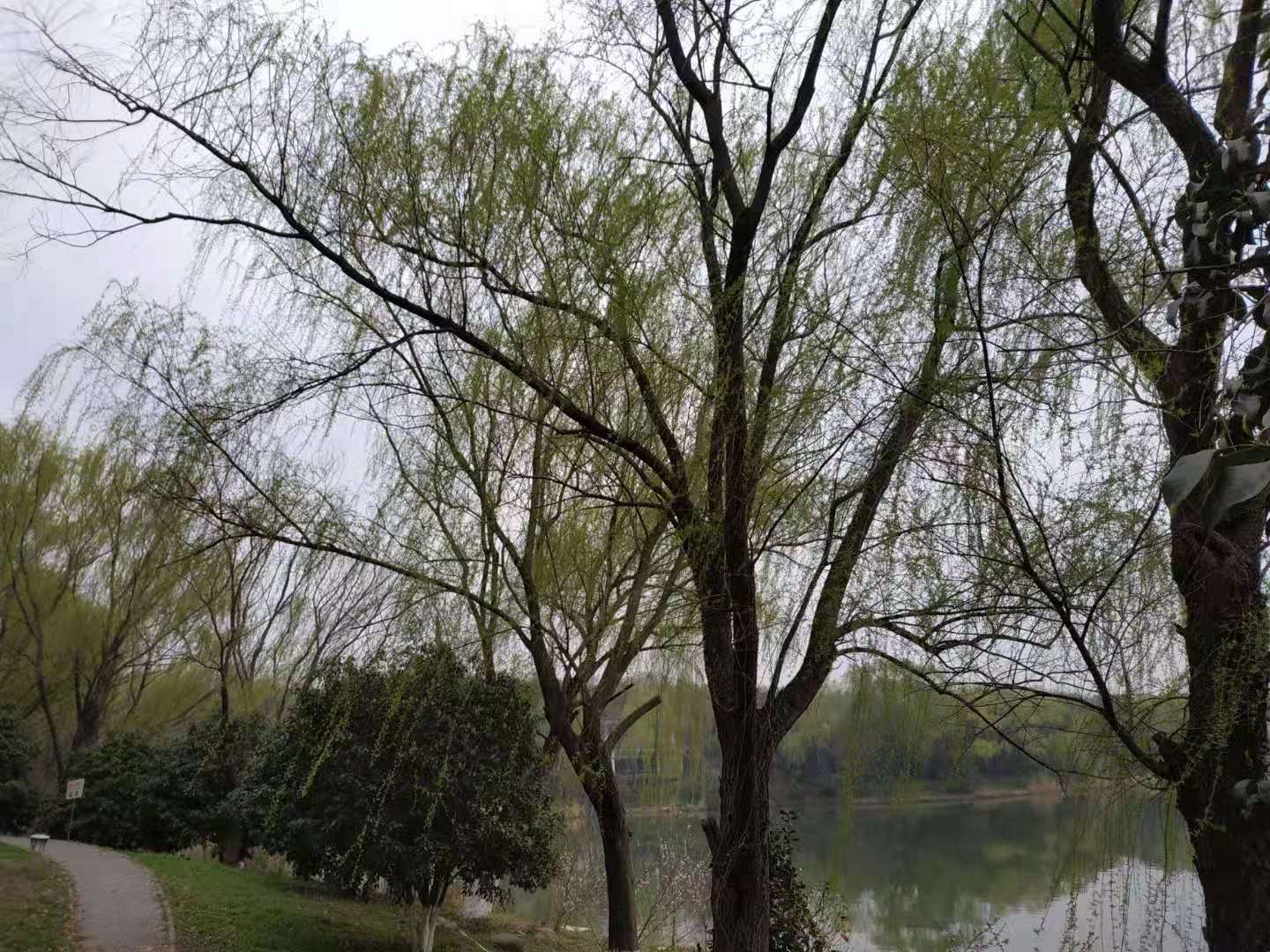 凯文大帝法律人 明明是开发商违法圈占小区公共绿地,业主起诉却被驳回,尴尬了!