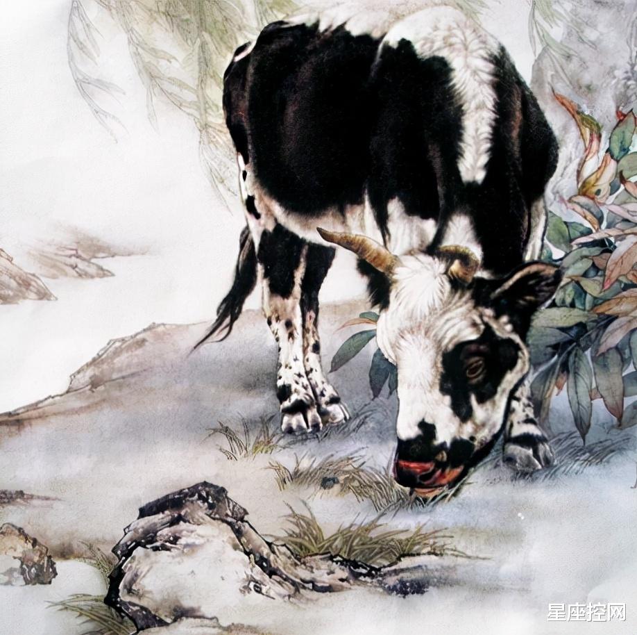 星座控网|四个生肖有志向，穷苦日子熬到底，人生困境也能脱离，日子越过越有