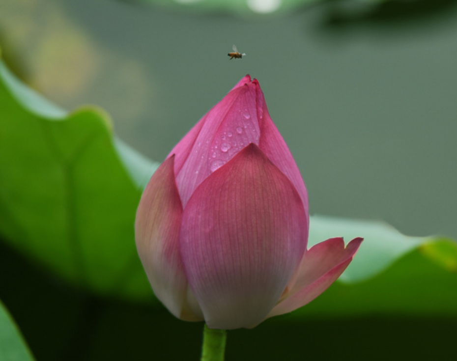 本人讲星座|9月底，运势猛涨，霉运消散，充满希望，3星座苦难驱散，好运降临