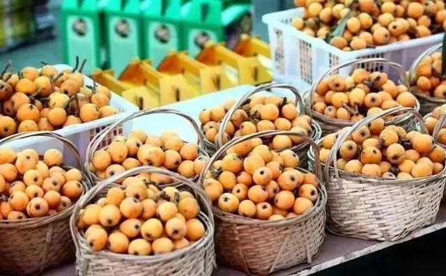 四川卫视 枇杷黄了！成都及周边采摘地图，收藏