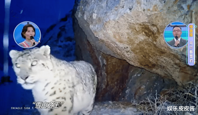 天天向上|改版后的《天天向上》逆袭成功，《快乐大本营》该何去何从？