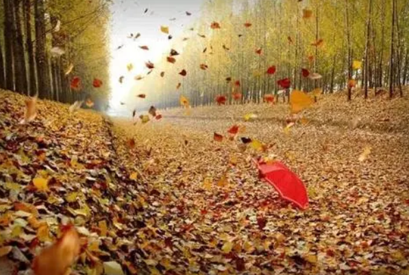 呼延子怡|身弱财旺不担财，格局不高事难成，36岁后好事不断，生活美满富足