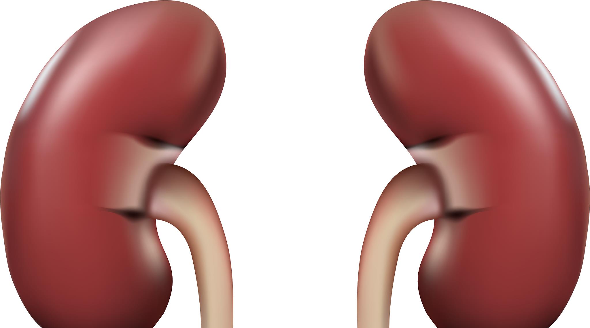 过敏|女性被肾病“偏爱”，并非没有原因的，这几种常见肾病类型要当心