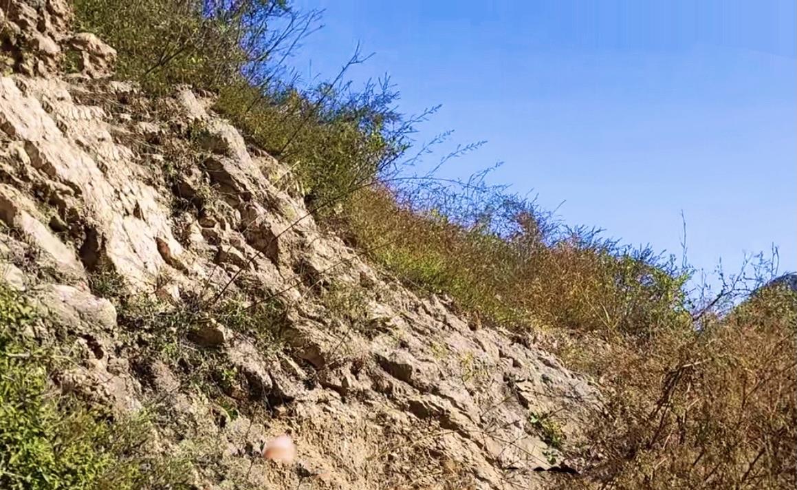 长脖子爸比说|20岁尼姑在台外的大山洞里苦修,一住就是50年