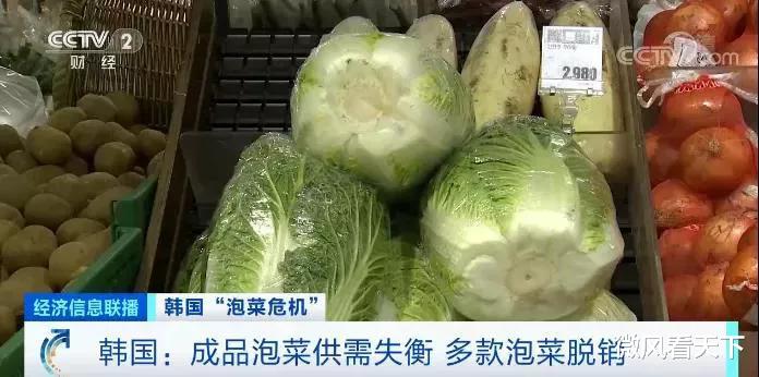 韓國遊客在中國“炫富”，幫我包好五片西瓜，商販：免費送你一個-圖5