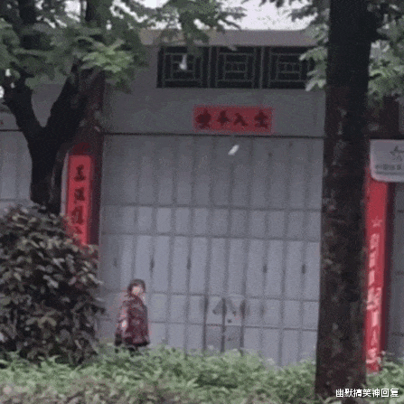 幽默搞笑神回复|神回复：“有没有能穿一个夏天的短裤？”网友：这个可以吗？