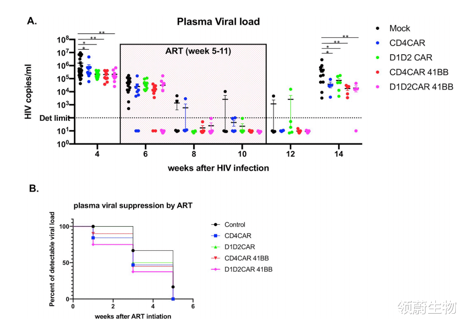 car-t 对付艾滋病？试试CAR-T疗法！有效且持久！