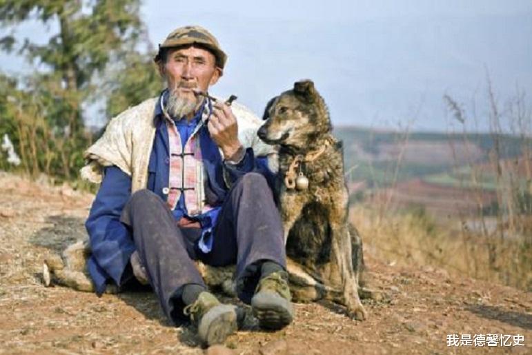 老人与狗|93年，他带狗出演电影《老人与狗》，电影上映后人狗都被处死