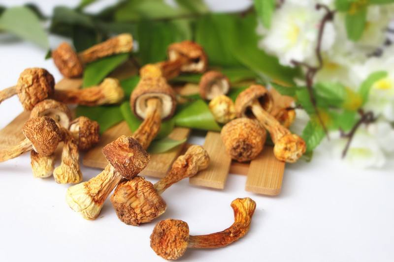 运动|身上这三个地方长疙瘩,不一定是皮肤病,很有可能是HPV已经来了