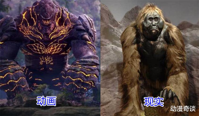 小舞|现实中出现的魂兽，小白让人窒息，小舞是餐桌新宠