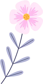 占卜师央央|塔罗牌占卜：TA喜欢我吗？