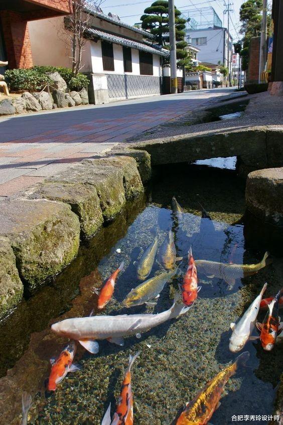 合肥李秀玲设计师 日本门前一排50公分宽的排水渠，里面清澈种花又养鱼，赏心悦目