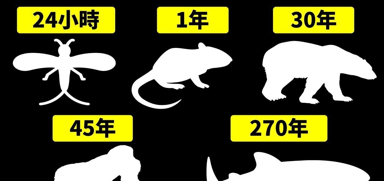 哈勃 夜空为什么是黑的？你以为的“正常”，却隐藏着一个绝望的事实