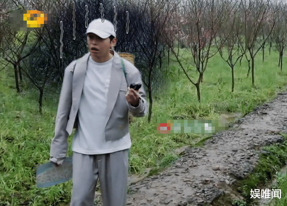 张艺兴|《向往5》张艺兴加盟，彭昱畅行为反常，张子枫无意中的话真相了