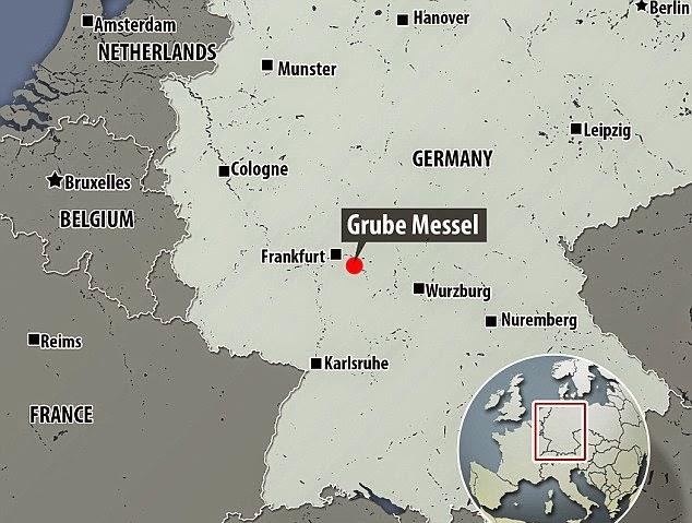 科学家 僵尸蚂蚁已经出现，这种寄生真菌会给人类带来生化危机吗？