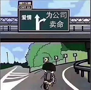 程序员|程序员如何过七夕？