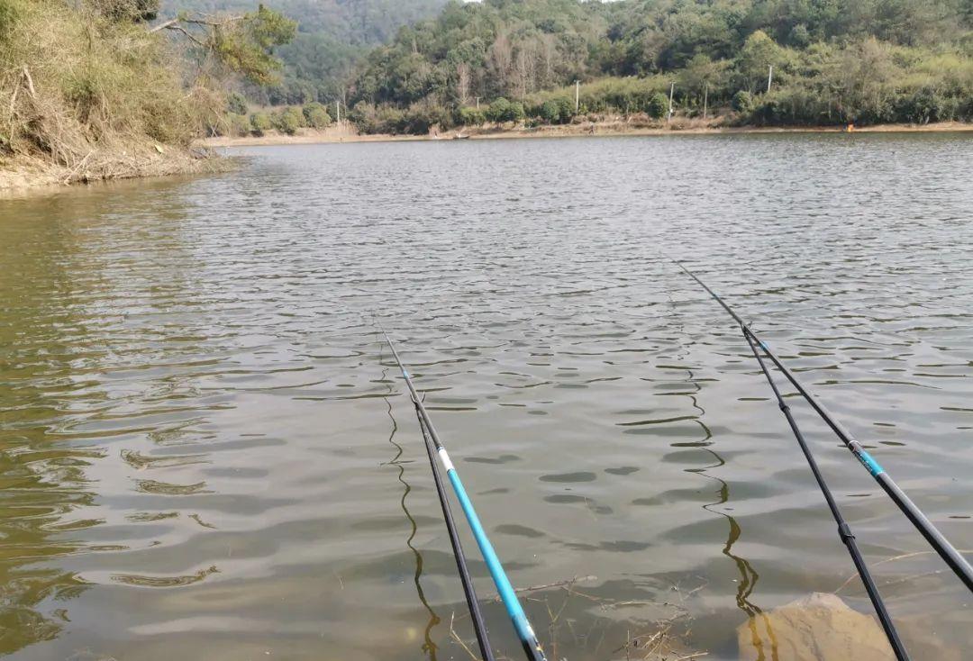 饵料|气温直降10度，鲫鱼还会开口？这4种情况不要钓，多半空军